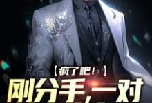 主角江林慕云歌小说疯了吧！刚分手，一对萌宝找上门免费阅读-侠客文学