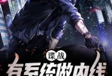 谍战:有系统做内线,我可以躺赢最新章节,谍战:有系统做内线,我可以躺赢章节在线阅读-侠客文学