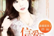 主角叫苏岑欢宋仲骁叶峻伊小说信爱不言婚章节免费阅读-侠客文学