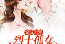 穿成六零烈士孤女，开局闪婚军官小说的无弹窗阅读体验，寻找免费阅读网站-侠客文学