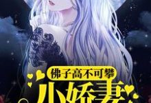 佛子高不可攀，小娇妻她怂了这本小说在哪里可以看？哪里有免费试读章节？-侠客文学