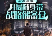 流浪系统：开局随身带战略储备仓小说全文哪里可以免费看？-侠客文学