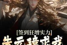 签到狂增实力，朱元璋求我卸甲归田免费阅读，签到狂增实力，朱元璋求我卸甲归田朱柏朱元璋-侠客文学