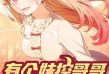 《有个妹控哥哥是什么体验》小说主角林安林雨章节章节免费在线阅读-侠客文学