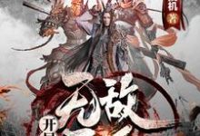 已完结小说《开局无敌圣子》最新章节-侠客文学