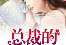 乐琦顾铭琛Cheryly顾小凡是哪本书的主角？寻找指腹为婚，总裁的小蛮妻免费阅读-侠客文学