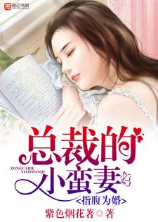 乐琦顾铭琛Cheryly顾小凡是哪本书的主角？寻找指腹为婚，总裁的小蛮妻免费阅读