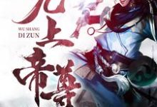 想读林枫萧清影的故事，哪里可以免费找到无上帝尊？-侠客文学