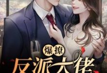 主角叫陆峥野林妤笙小说爆撩！反派大佬别太爱章节免费阅读-侠客文学