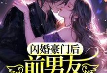 男女主人公叫温月傅夜臣的小说免费资源-侠客文学