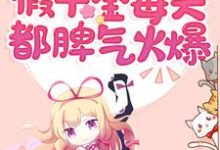快穿：假千金每天都脾气火爆主角言之之宁安安小说完结版章节在线阅读-侠客文学
