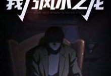 陈启林苏荷的故事在哪本书里？免费阅读拜师老乞丐：我乃风水之龙-侠客文学