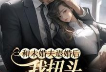 哪里能找到和未婚夫退婚后,我扭头嫁酷帅霸总小说的最新更新和免费章节?-侠客文学