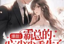 爆甜！霸总的心尖尖重生了这本小说完结了吗？免费查看最新章节-侠客文学