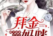 《拜金妈咪:顾少追妻百分百》小说主角唐卿茹顾北琛章节章节免费在线阅读-侠客文学