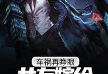 车祸再睁眼，女友嫁给富二代叶尘苏清然小说大结局免费试读-侠客文学