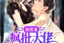 夜夜宠，疯批大佬霸道撩妻小说的免费阅读版本在哪里可以找到？-侠客文学