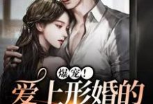 爆宠！爱上形婚的帝都大佬阮听夏宋季凛，爆宠！爱上形婚的帝都大佬小说免费阅读-侠客文学