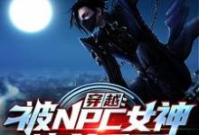 穿越：被NPC女神追杀千里聂天小说免费阅读-侠客文学