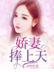 哪里能找到娇妻捧上天小说的全部章节？
