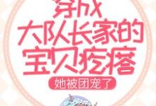 免费看穿成大队长家的宝贝疙瘩，她被团宠了小说的网站有哪些？-侠客文学