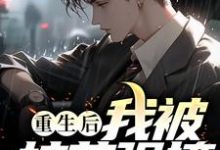 《重生后，我被校花强撩！》小说章节列表免费试读，纪冷明温婉小说在线阅读-侠客文学