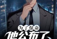 主人公叶城小说为了保命，他公布了可控核聚变在线章节阅读-侠客文学