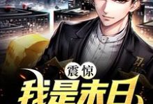 夜君莫苏菲小说在线章节免费阅读（震惊！我是末日首位异能者无弹窗无删减）-侠客文学