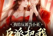 我给反派当小弟，反派把我当夫人萧沐雪蓝玄泽在线章节免费阅读-侠客文学