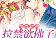 极限诱惑，拉禁欲佛子落凡尘（薄璟宴虞安歌）在线免费阅读-侠客文学