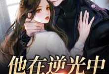 完结版《他在逆光中告白》在线免费阅读-侠客文学