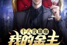 《十八线糊咖：我的金主是我小后妈》全集免费在线阅读（沈南倾战西宸）-侠客文学