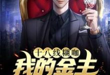 十八线糊咖：我的金主是我小后妈小说全文阅读需要付费吗？寻找免费资源-侠客文学