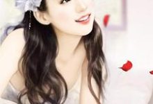 在线搜索刘毅谭露的完整小说，免费阅读我的绝美女上司-侠客文学