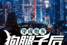 苏星语陆瑾辰的小说在哪里看?免费在线阅读穿成炮灰狗腿子后我暴富了-侠客文学