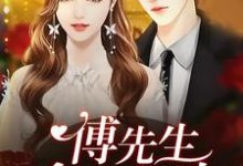 求推荐可以免费阅读傅先生食之有味小说的网站-侠客文学