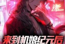 主角苏年星辰小说来到机娘纪元后,我杀疯了免费阅读-侠客文学