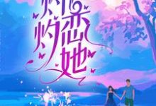 沈赫予温璃为主角的小说叫什么?免费看灼灼恋她-侠客文学