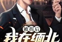 被拐后，我在缅北杀疯了小说有没有完整的免费版本在线阅读？-侠客文学