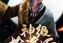 求 张子陵劳拉小说免费资源-侠客文学