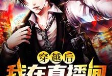 穿越后我在直播间成了活阎王章节免费在线阅读，苏晨完结版-侠客文学