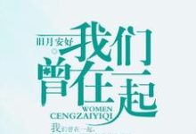 齐镜赵毅林安茹为主角的小说叫什么？免费看我们曾在一起-侠客文学