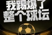 这一脚，我踢爆了整个球坛小说有没有完结版在线？-侠客文学