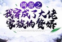 林度宁风雅的故事在哪本书里?免费阅读网游之我穿成了大佬家族的赘婿-侠客文学