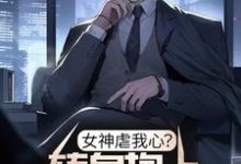 女神虐我心?转身抱上偏执青梅小说无弹窗阅读的网站推荐-侠客文学