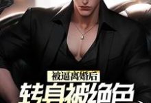 完结版《被逼离婚后,转身被绝色总裁带回家》免费阅读-侠客文学