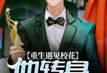 林轩的故事在哪本书里?免费阅读重生遇见校花,他转身不再爱-侠客文学