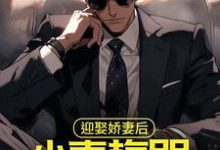 已完结小说《迎娶娇妻后，小青梅哭着来找我》在线章节阅读-侠客文学