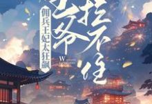 主角叫花暖月夜宸小说佣兵王妃太狂飙，王爷拦不住！章节免费阅读-侠客文学