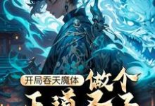 开局吞天魔体,做个正道圣子怎么这么难!小说完结了吗?在哪里可以免费读到?-侠客文学